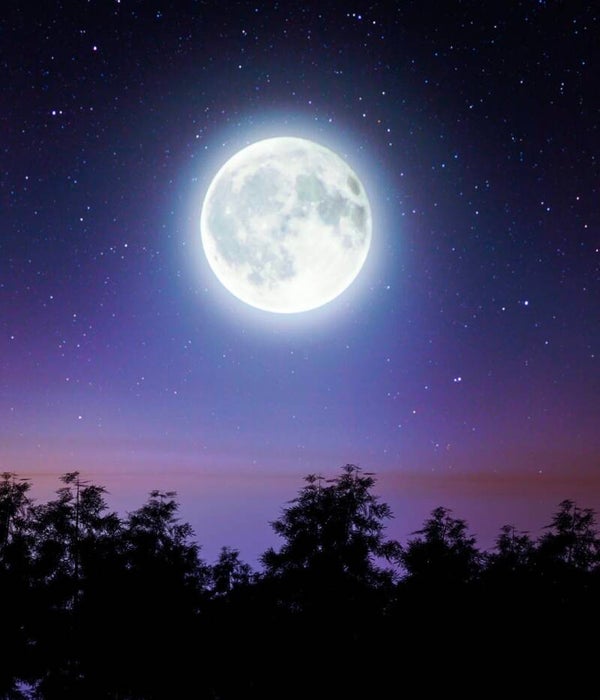 🌑 Renaissance Lunaire