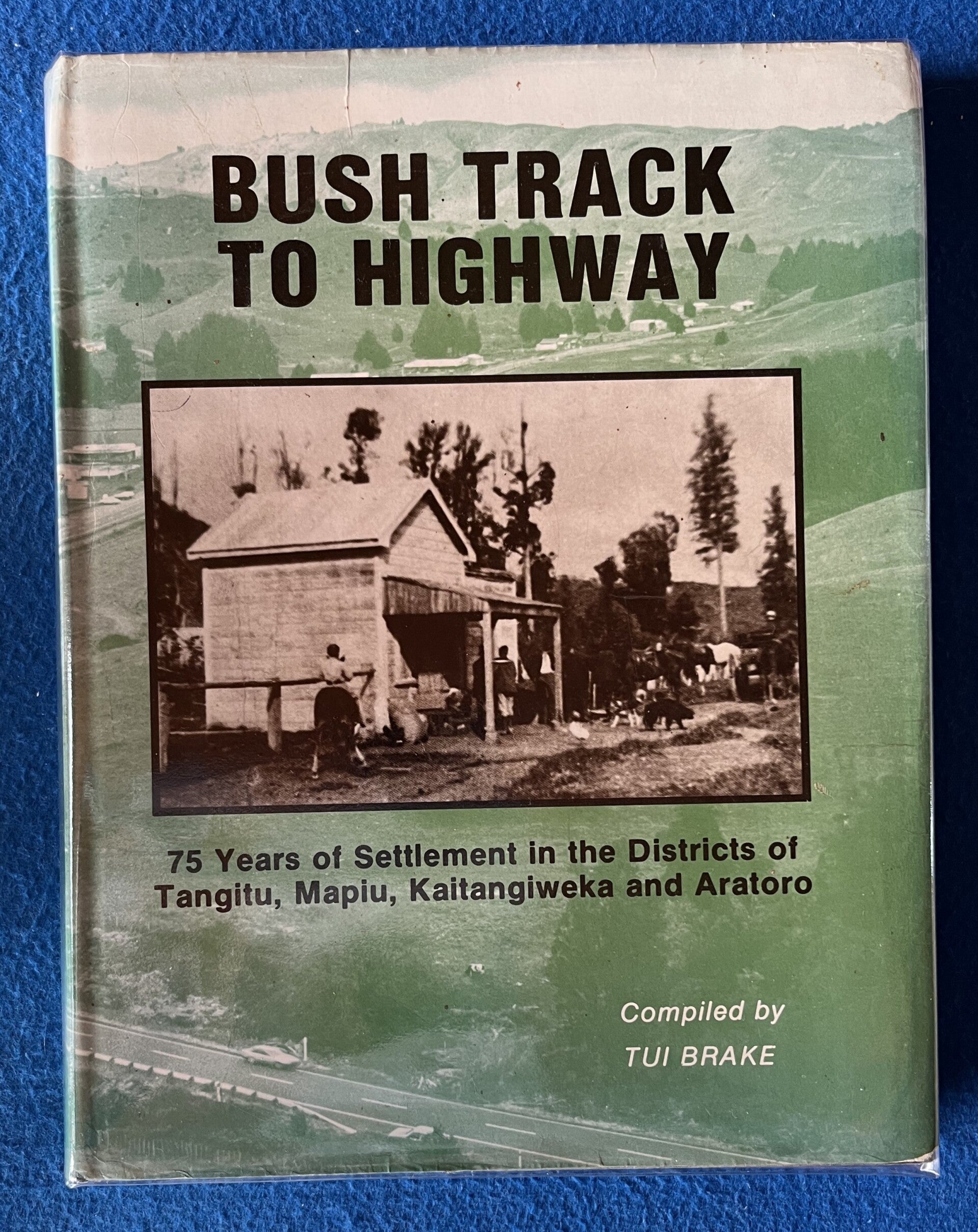 Bush Track To Highway - Tui Blake