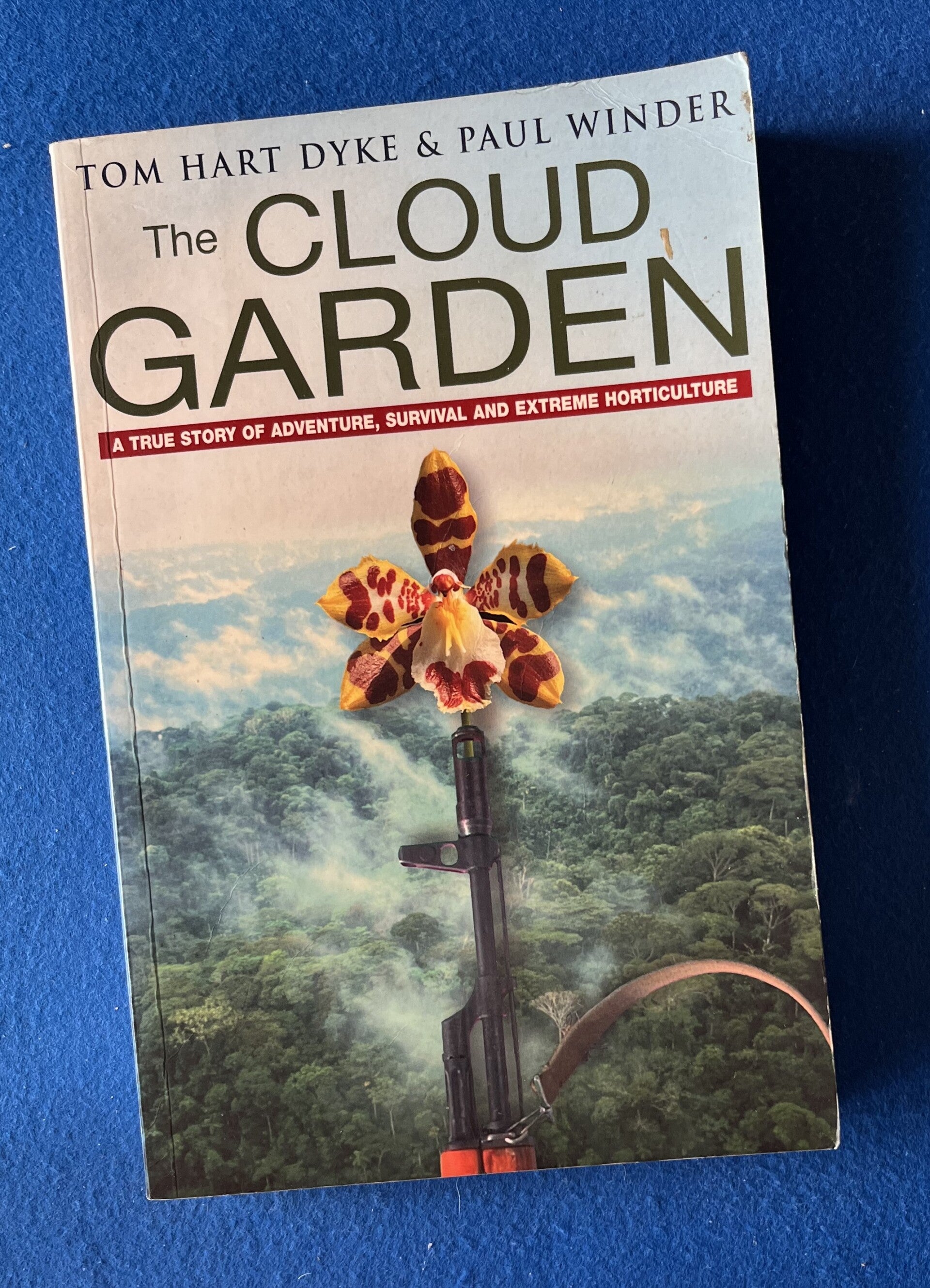 The Cloud Garden - Tom Hart & Paul Winder