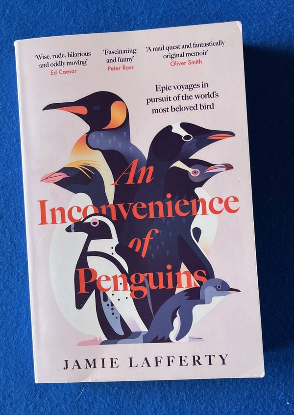 An Inconvenience Of Penguins - Jamie Lafferty