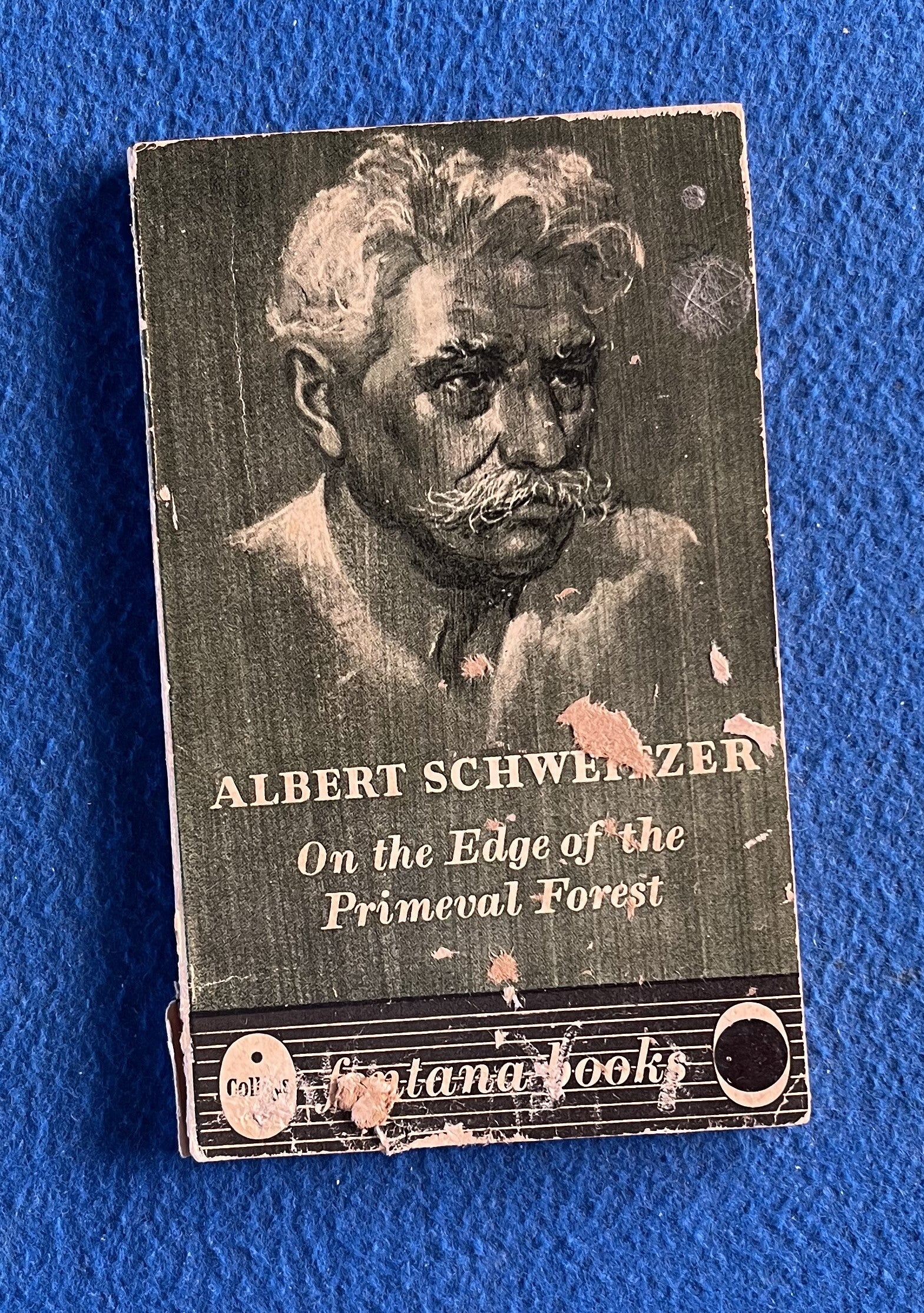 On The Edge Of The Primeval Forest - Albert Schweitzer