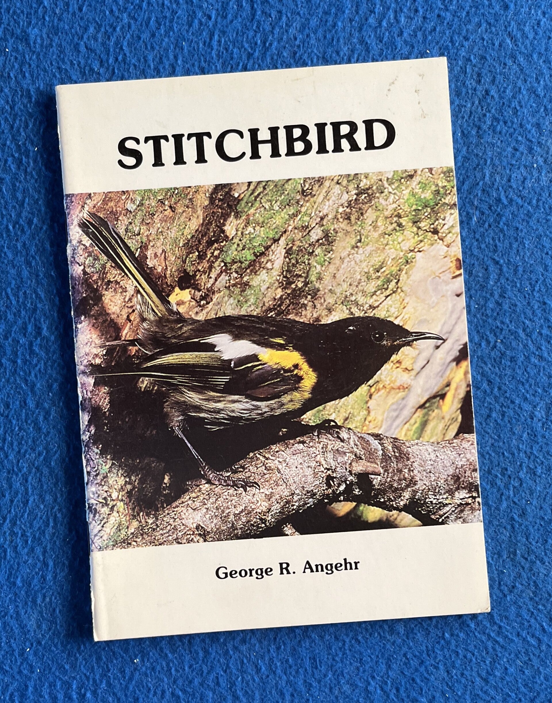 Stitchbird - George R Angehr