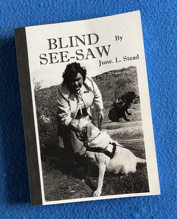 Blind See-Saw - June L Stead