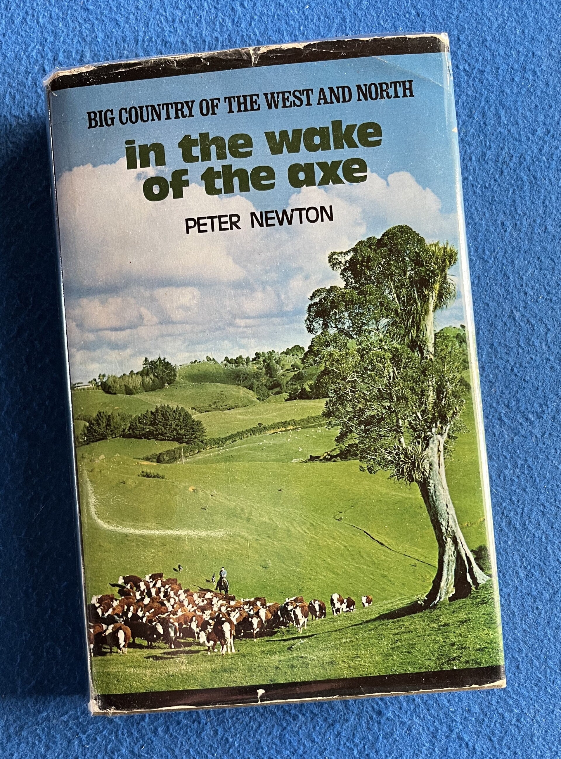 In The Wake Of The Axe - Big Country Of The West And North - Peter Newton