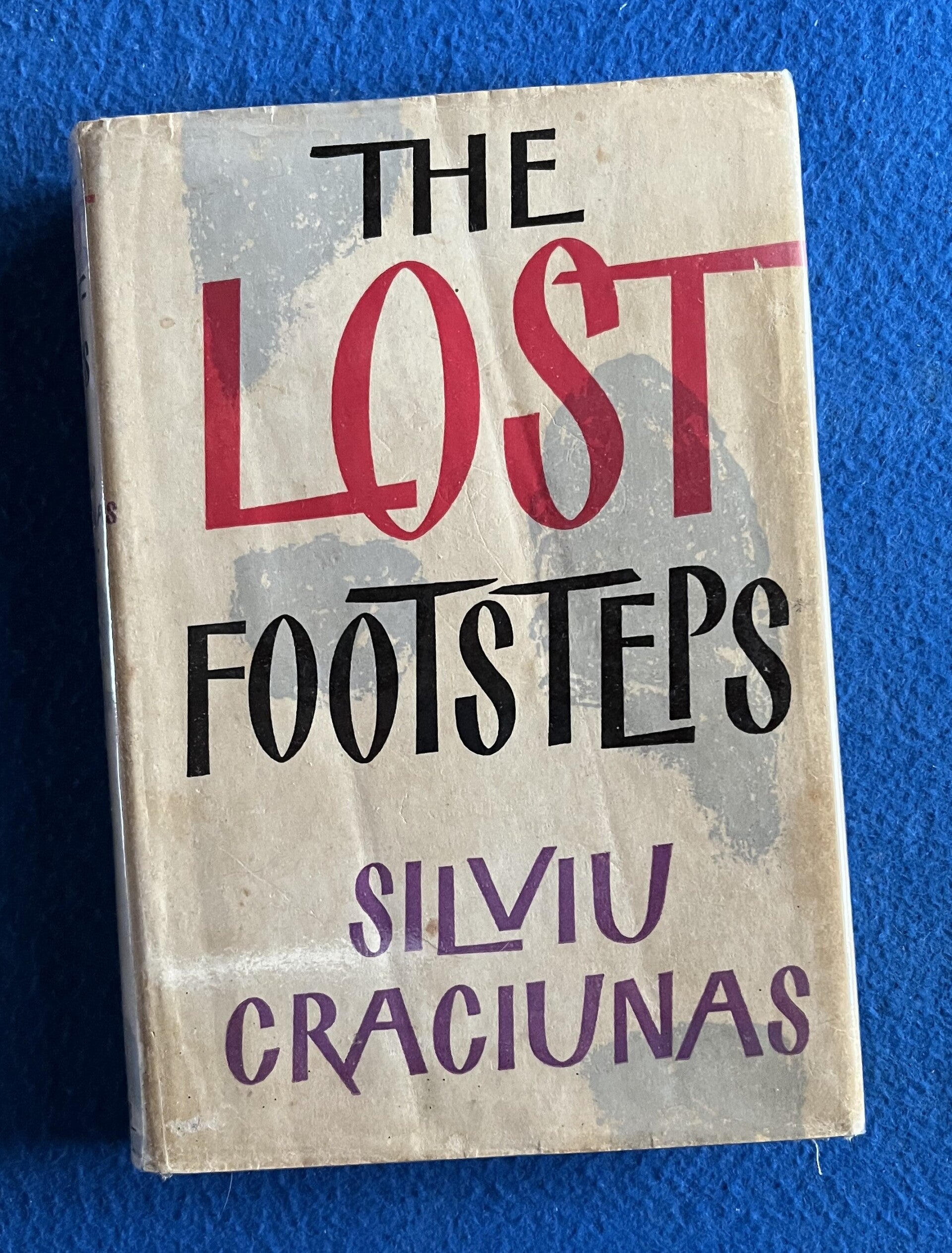 The Lost Footsteps - Silviu Craciunas