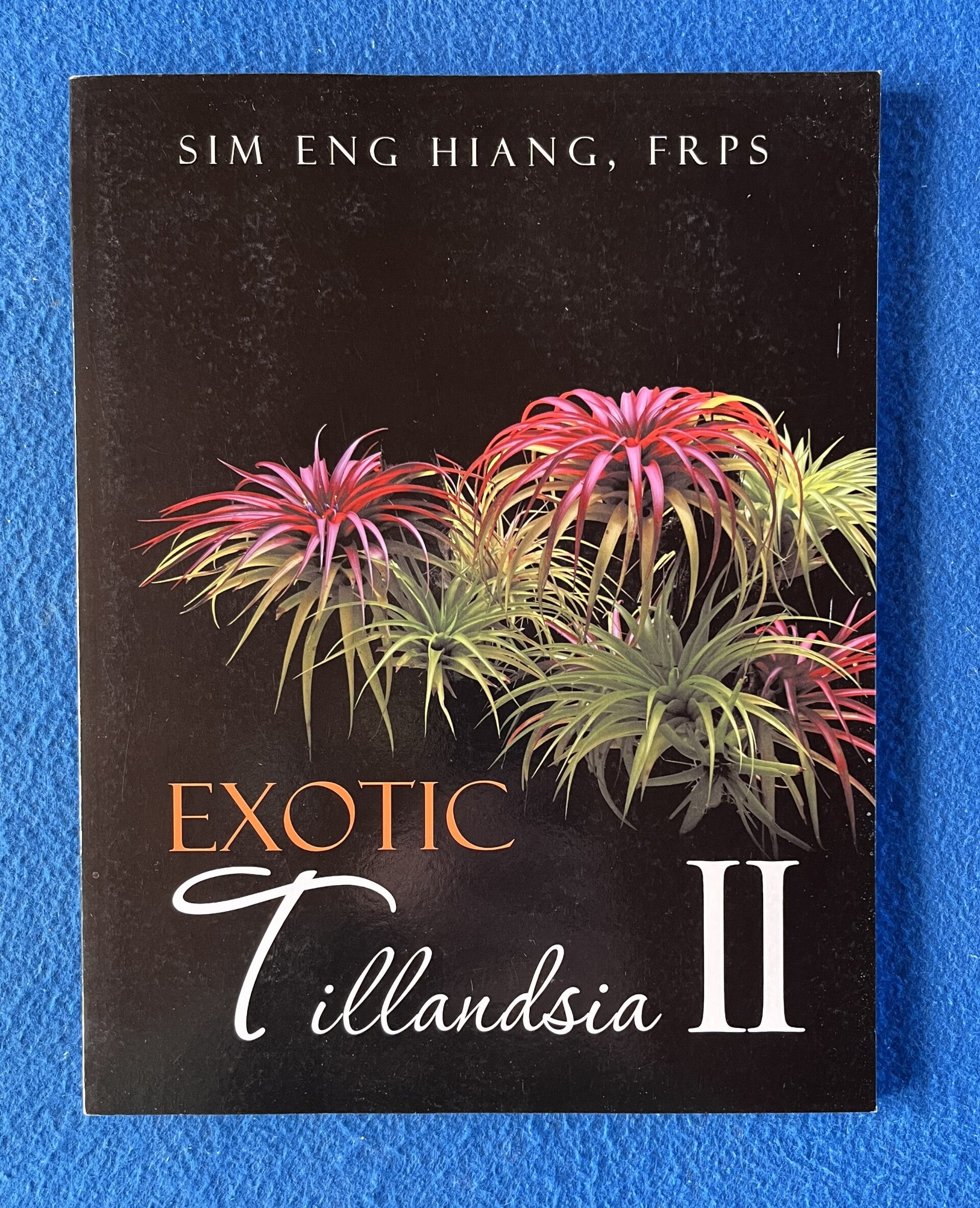 Exotic Tillandsia II - Sim Eng Hiang , FRPS