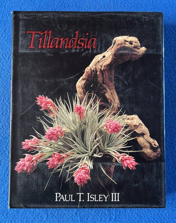 Tillandsia - Paul T Isley III