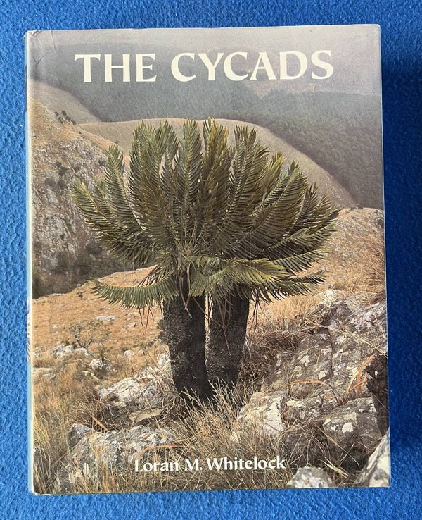 The Cycads - Loran M Whitelock
