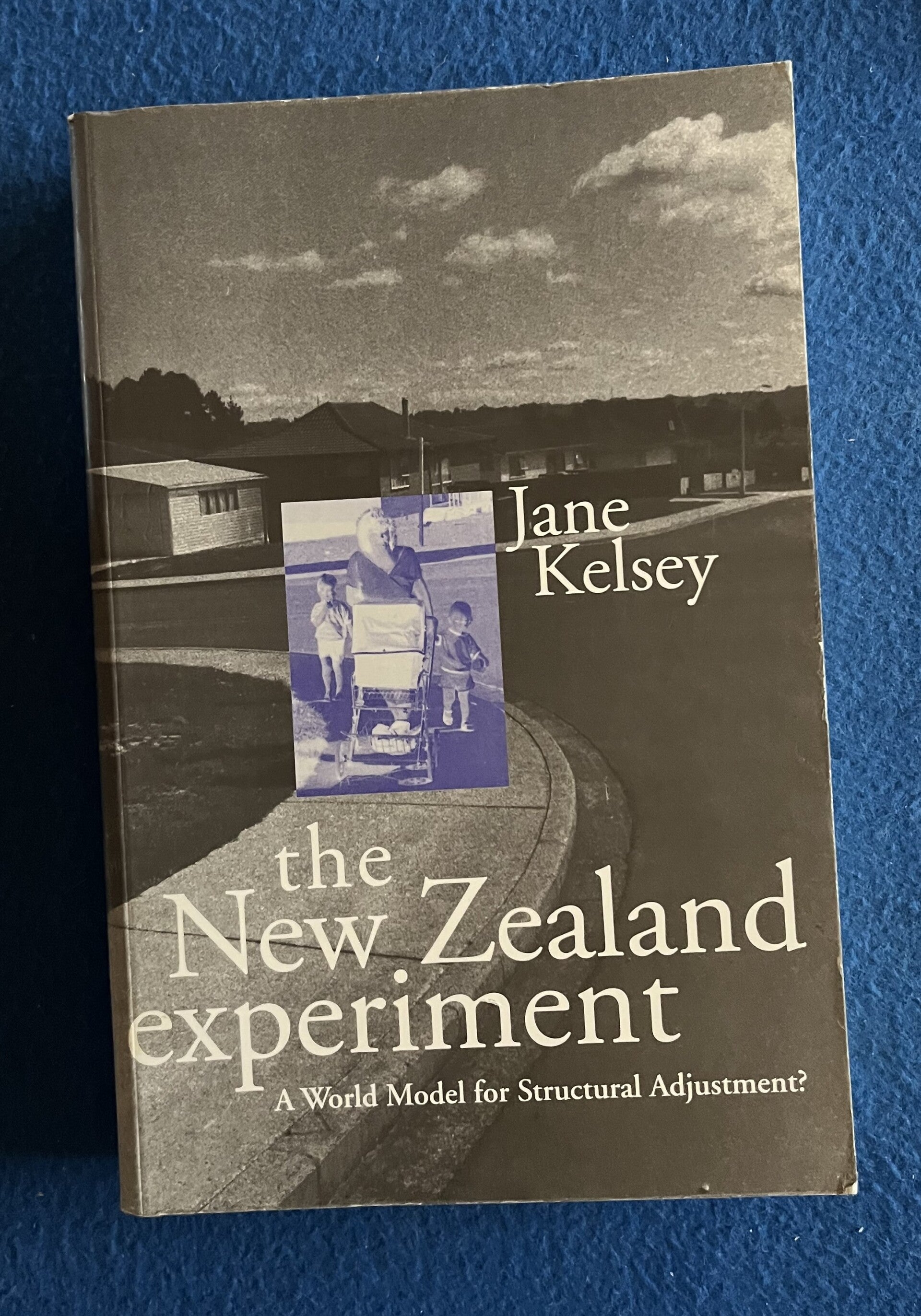 The New Zealand Experiment - Jane Kelsey