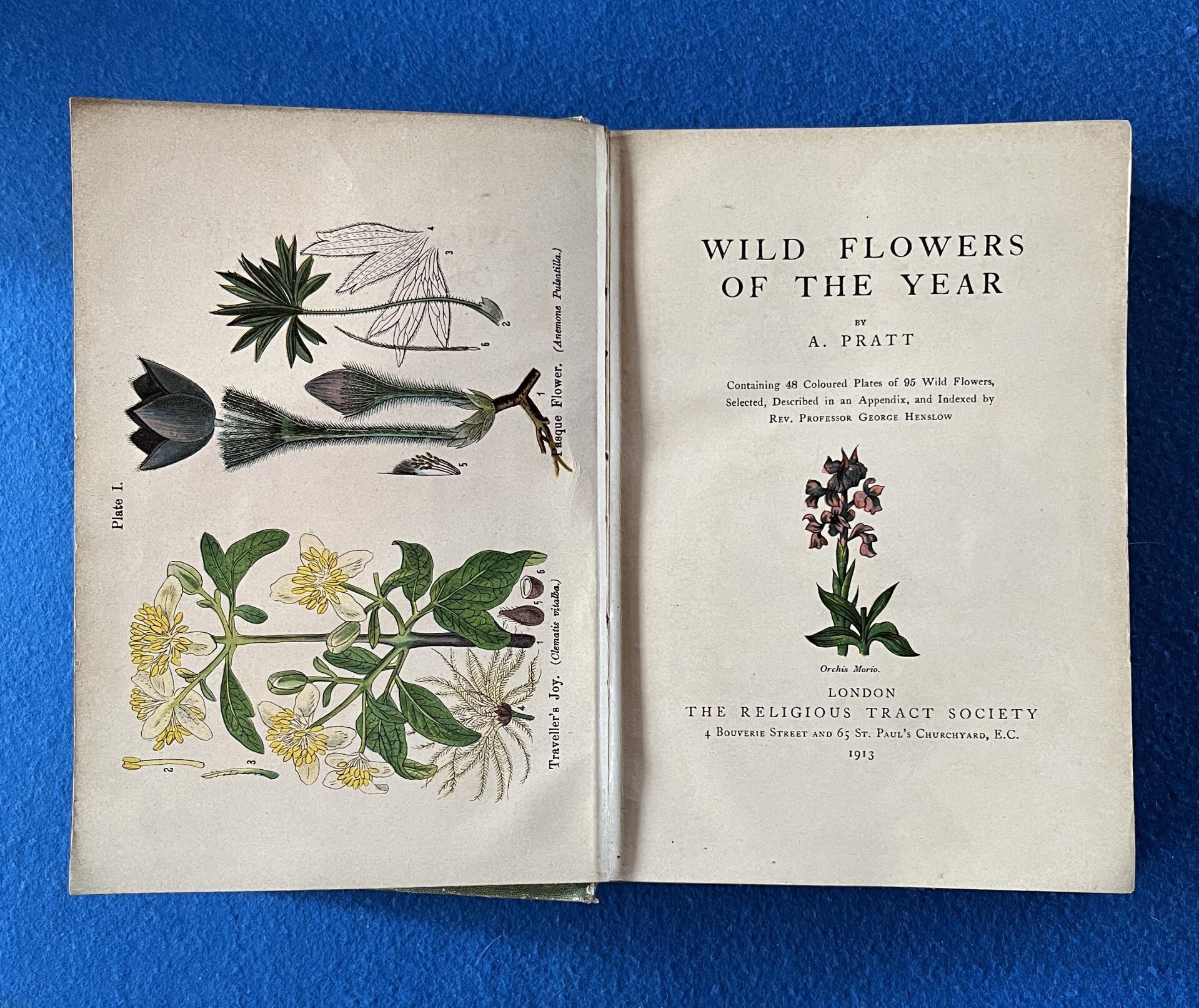 Wild Flowers Of The Year - A Pratt  (1913)