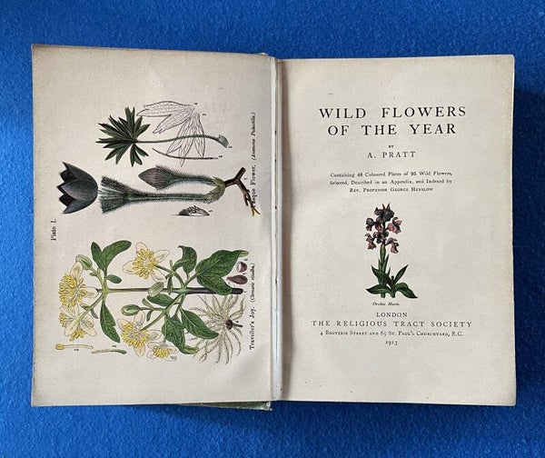 Wild Flowers Of The Year - A Pratt  (1913)