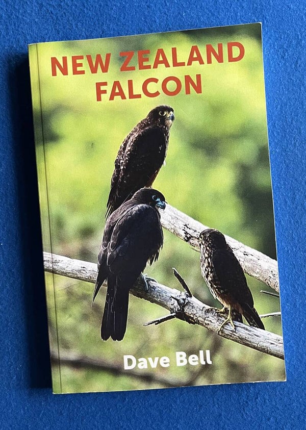 New Zealand Falcon - Dave Bell