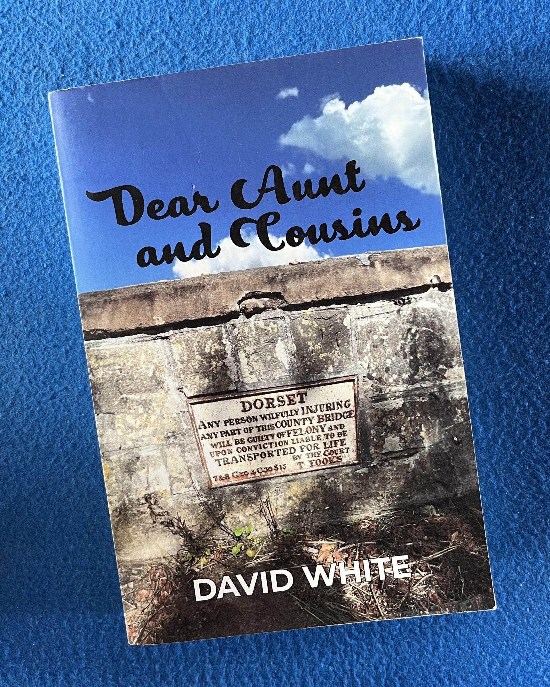 Dear Aunt And Cousins - David White