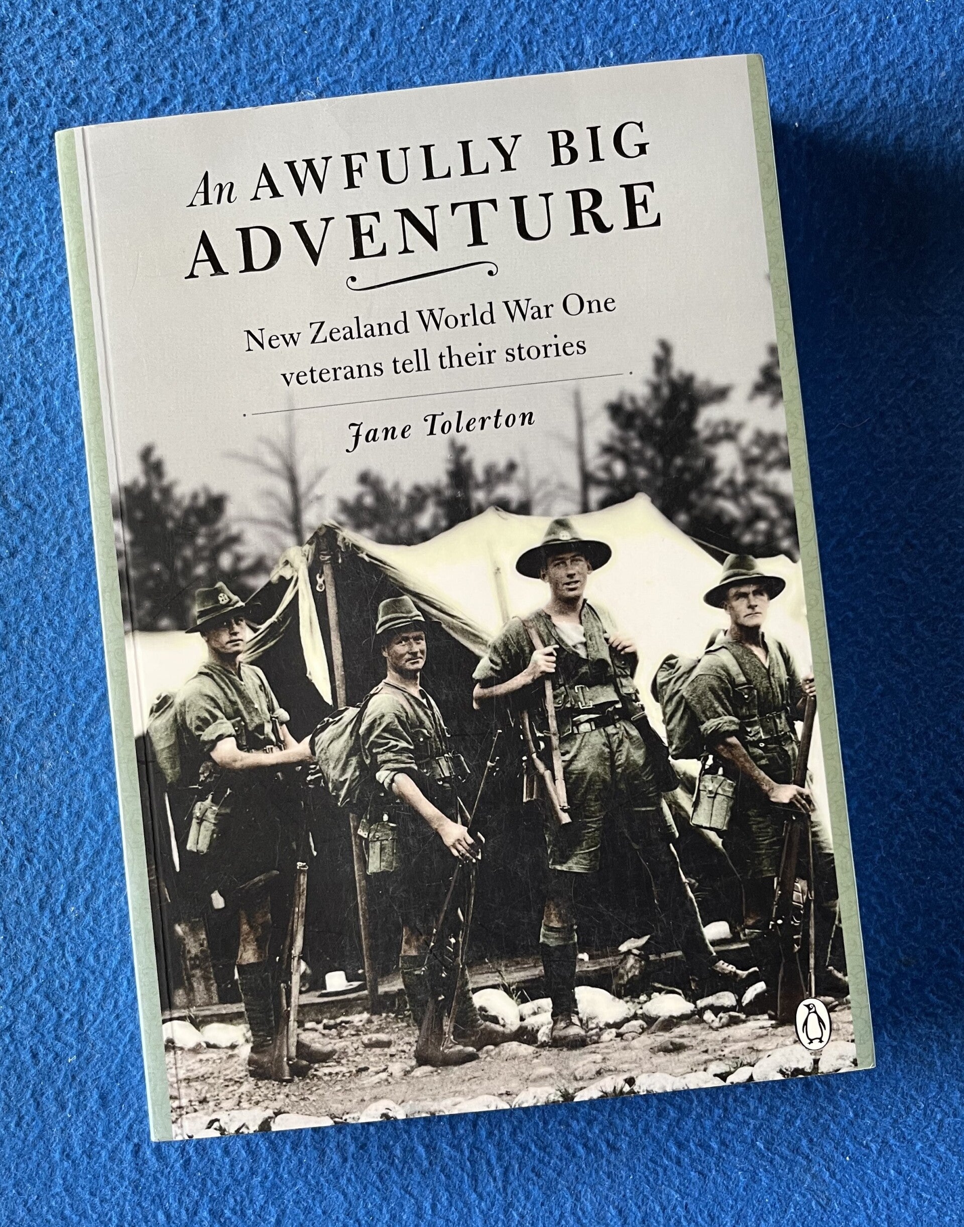 An Awfully Big Adventure - Jane Tolerton