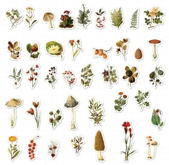 Losse Washistickers | Paddenstoelen en Bloemen | Herfstthema