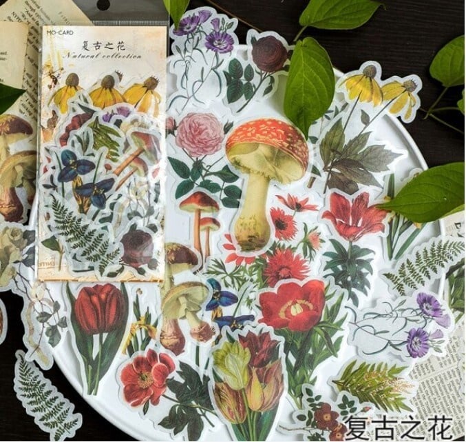 Grote Washistickers | Bosleven | Planten en Bladeren