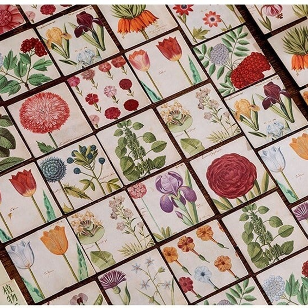 Stickerdoosje | Voorjaarsbloemen