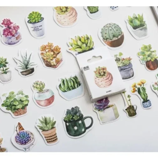 Stickerdoosje | Vetplanten en cactussen in pot
