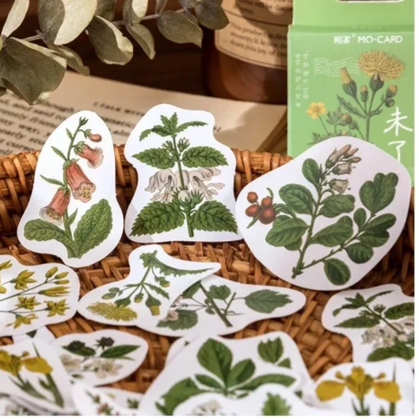 Stickerdoosje | Planten en gele bloemen