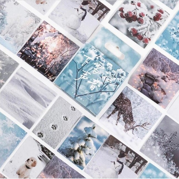 Stickerdoosje | Winterse fotostickers