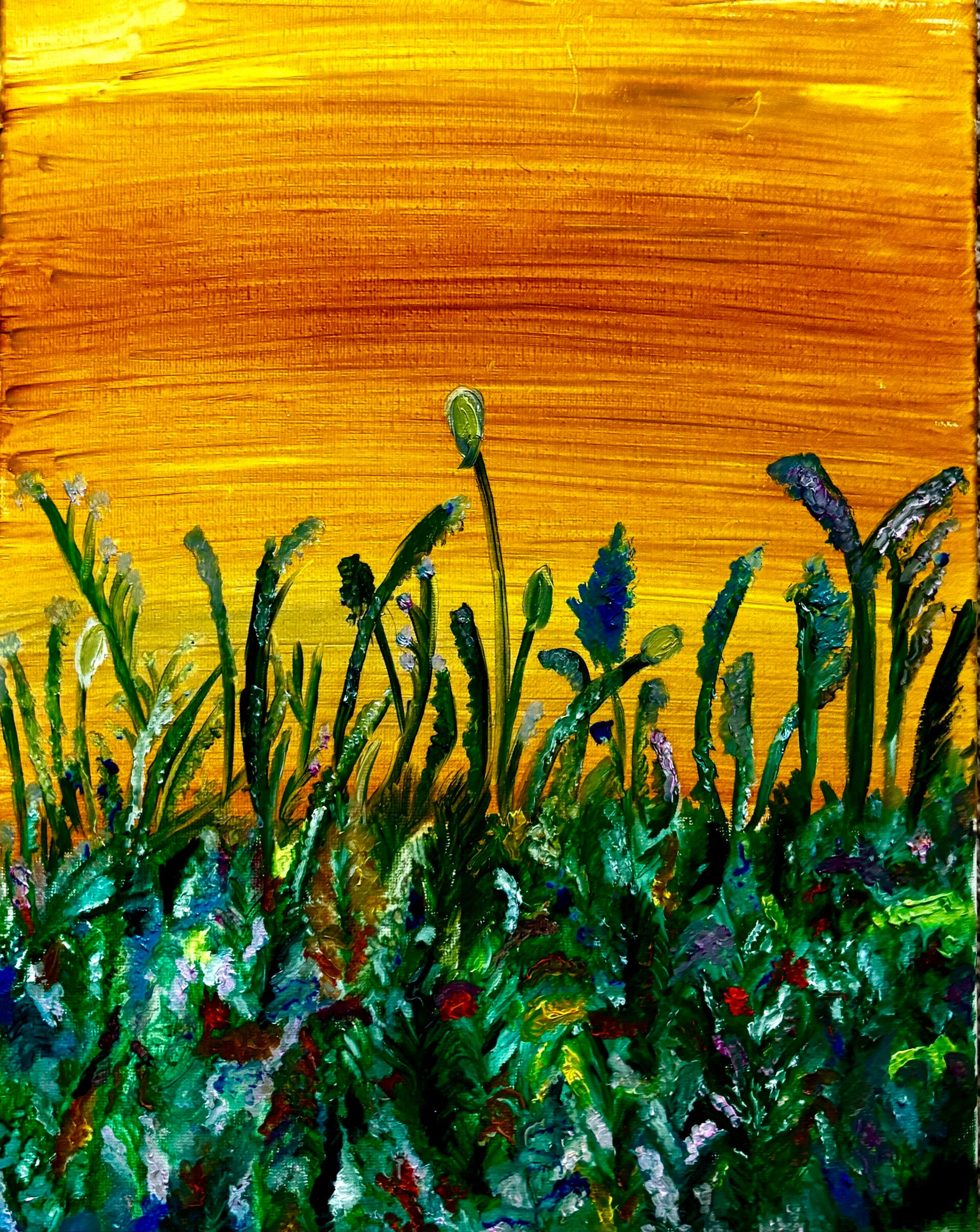 'Valley of Flowers'