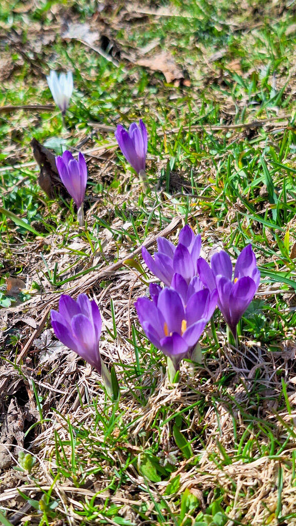 20240322_121339.jpg