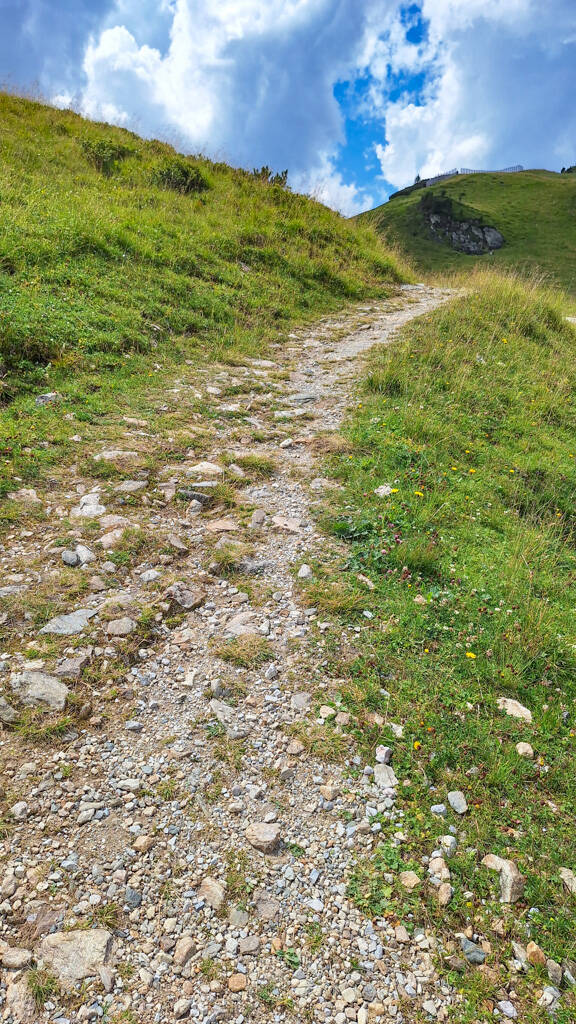 20240812_133857-standard.jpg