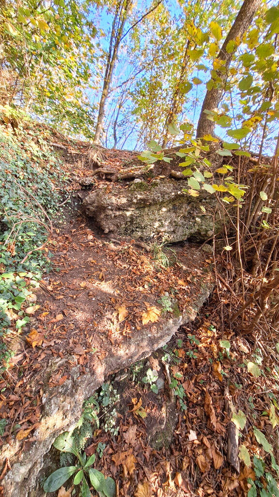 20241027_151835-standard.jpg