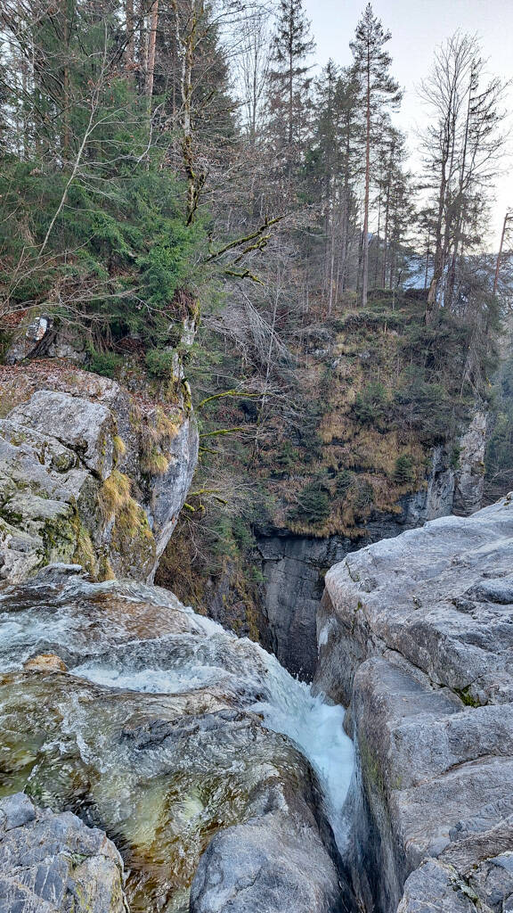 20241201_150543-standard.jpg