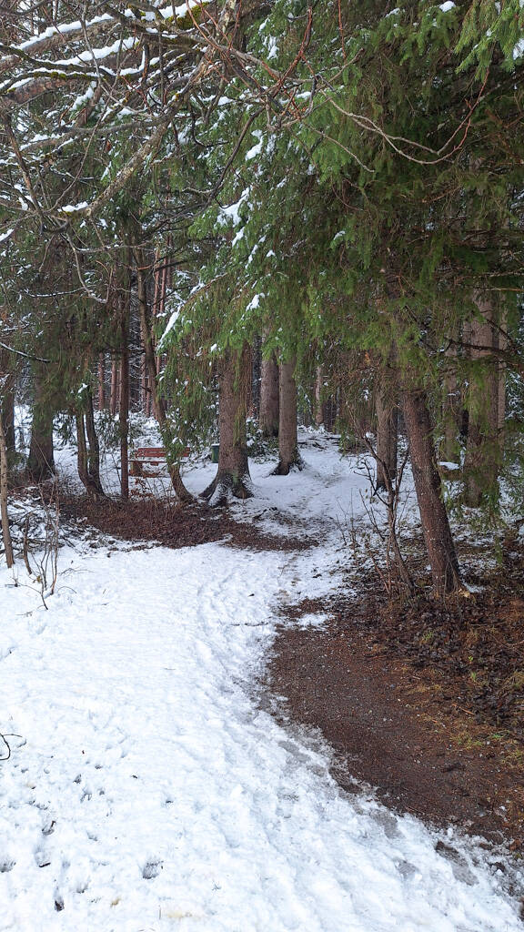 20241208_122058-standard.jpg