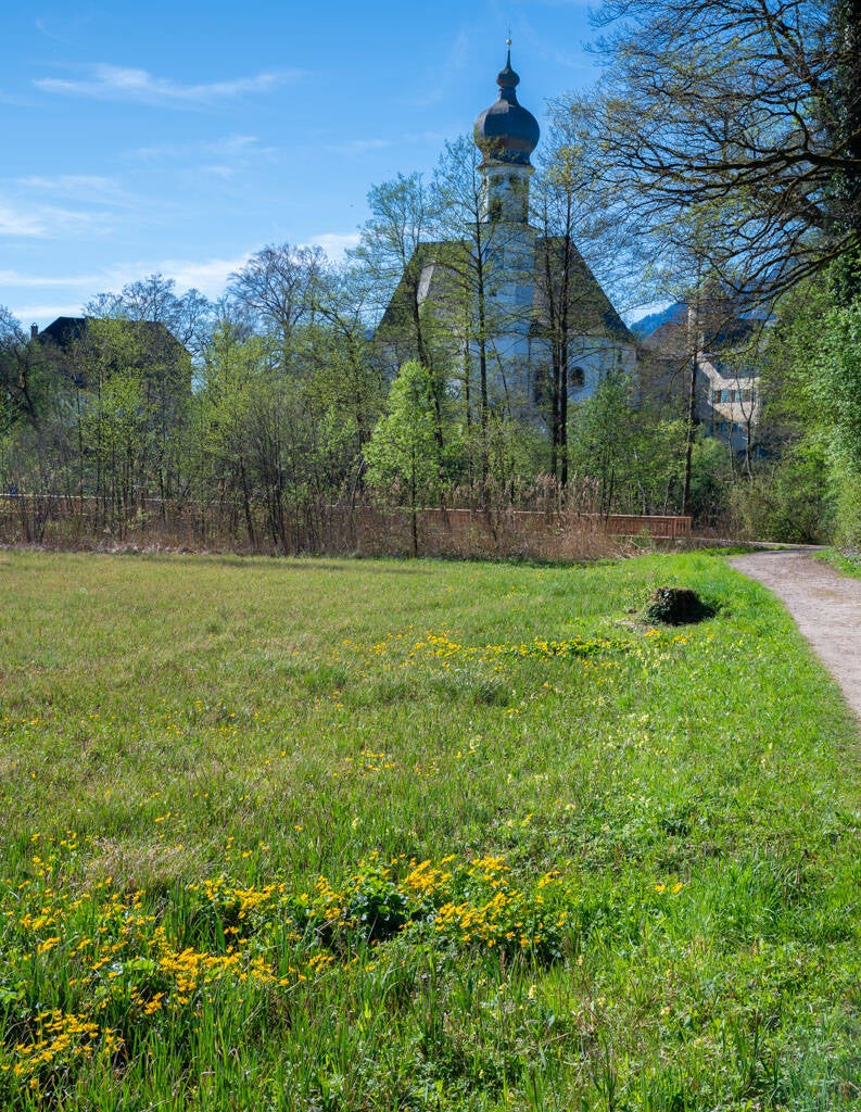 20250419_095006-standard.jpg
