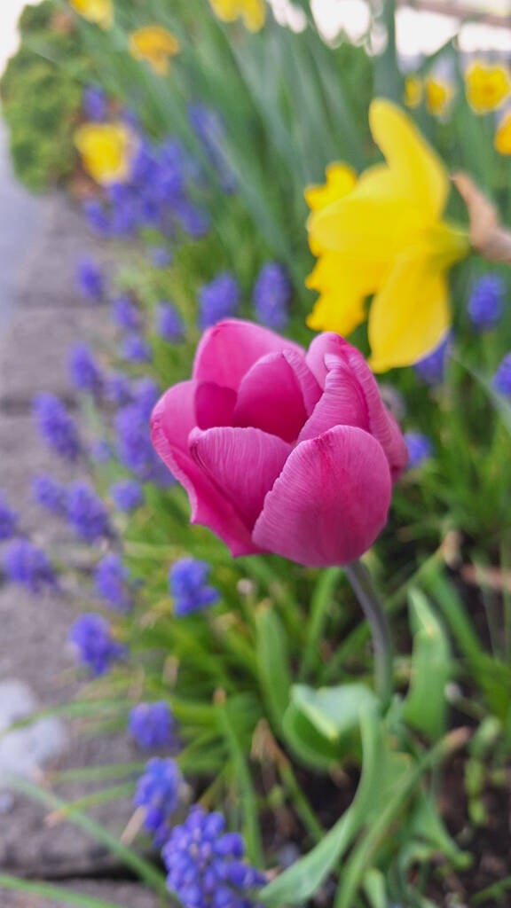 20250427_121916-standard.jpg
