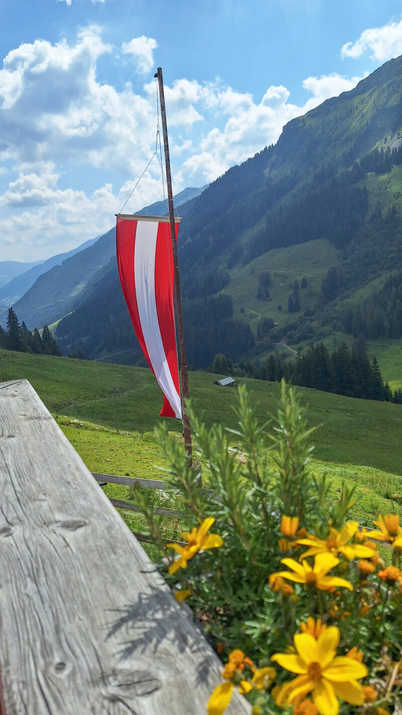 20250620_104720-standard.jpg