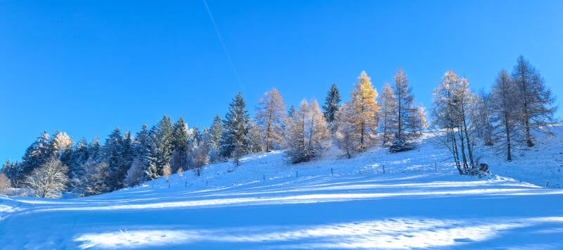 20251123_113754-standard.jpg