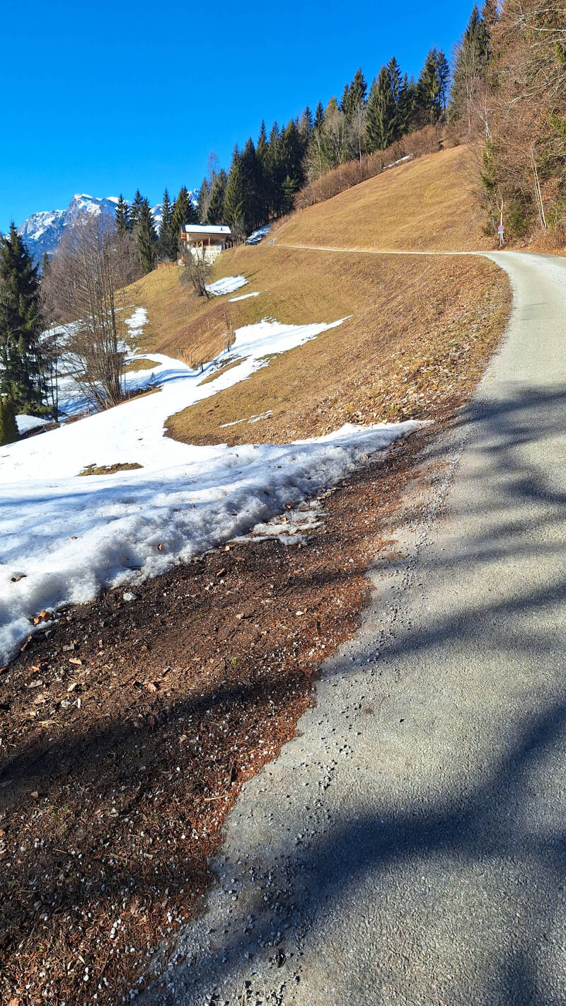 20260127_130913-standard.jpg