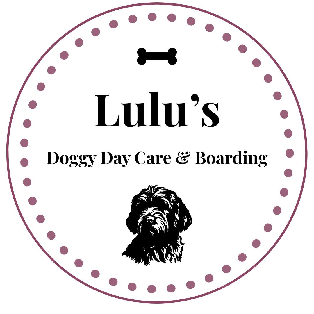 Lulu's Home Boarding & Day care, Maidenhead — dog boarding