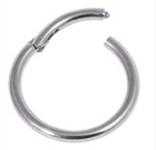 Gold or silver hinged segment rings
