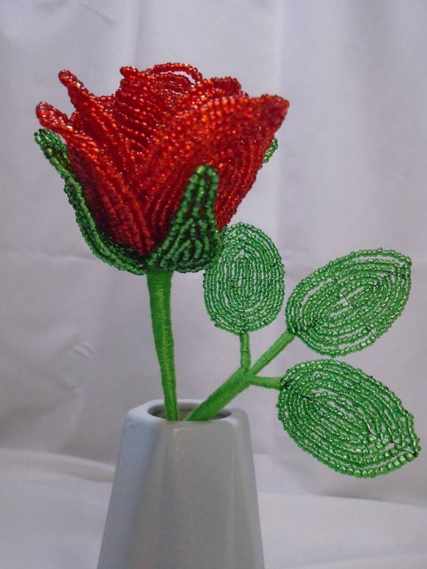 Red single stem rose