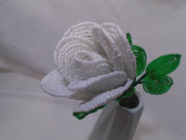 White single stem rose