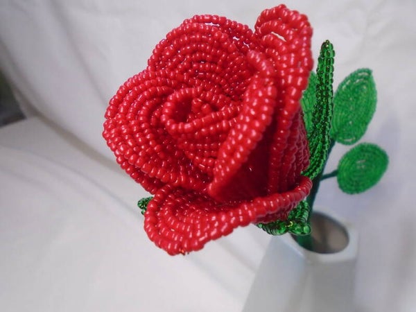 Red single stem rose