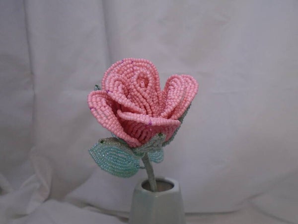 Pink single stem rose