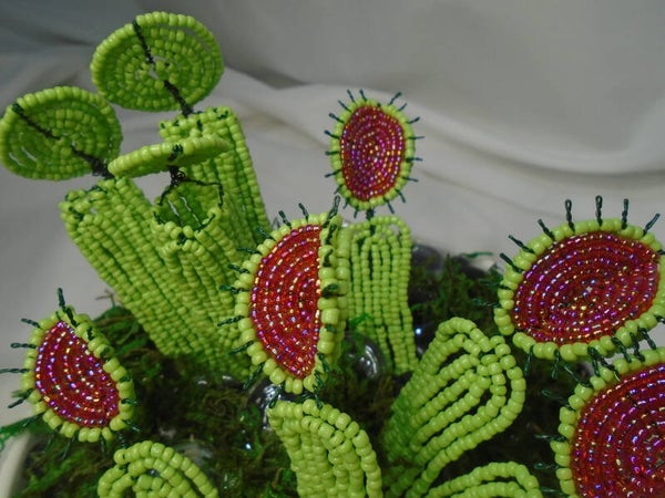 Venus fly trap pattern