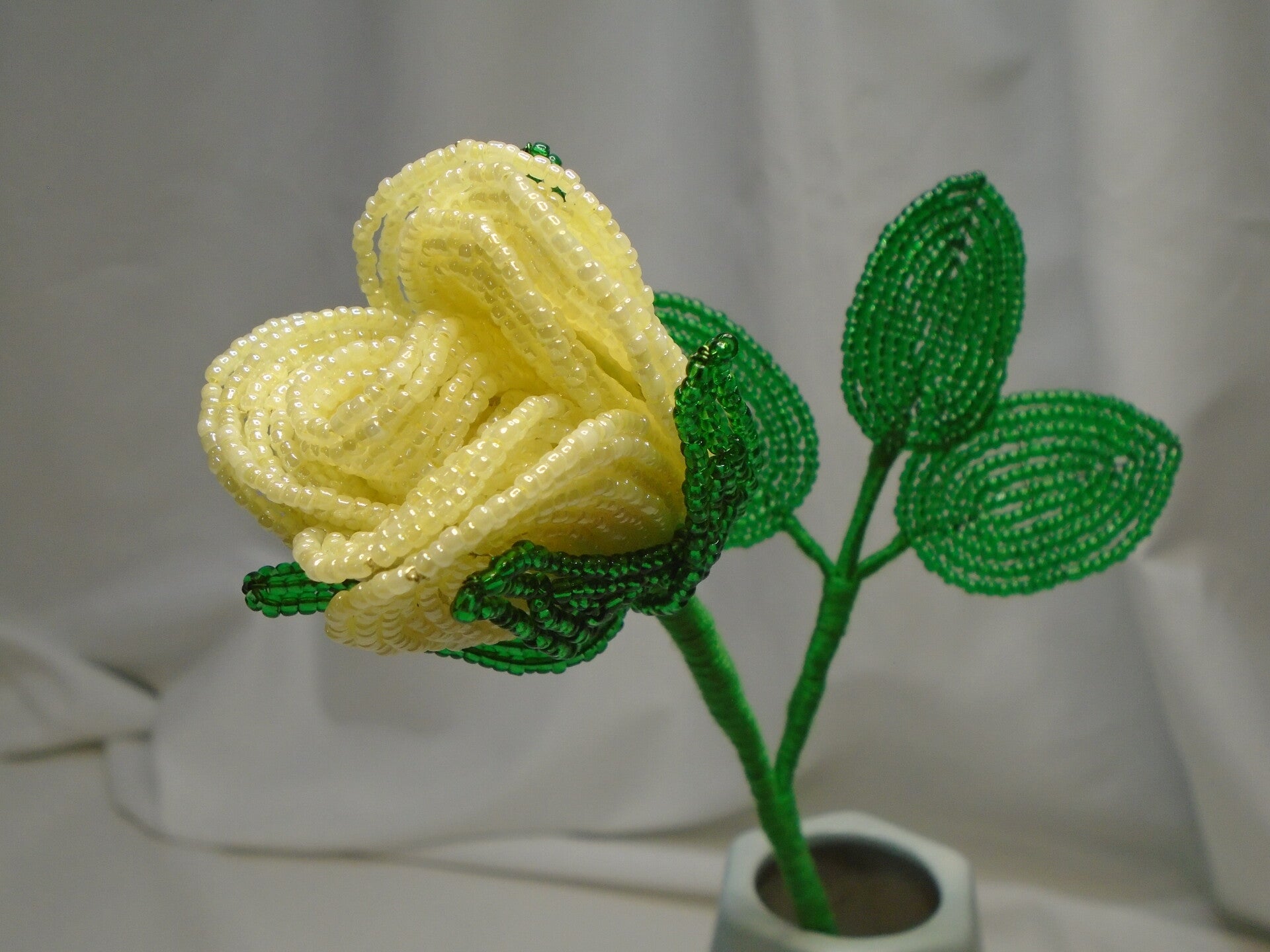 Yellow single stem rose
