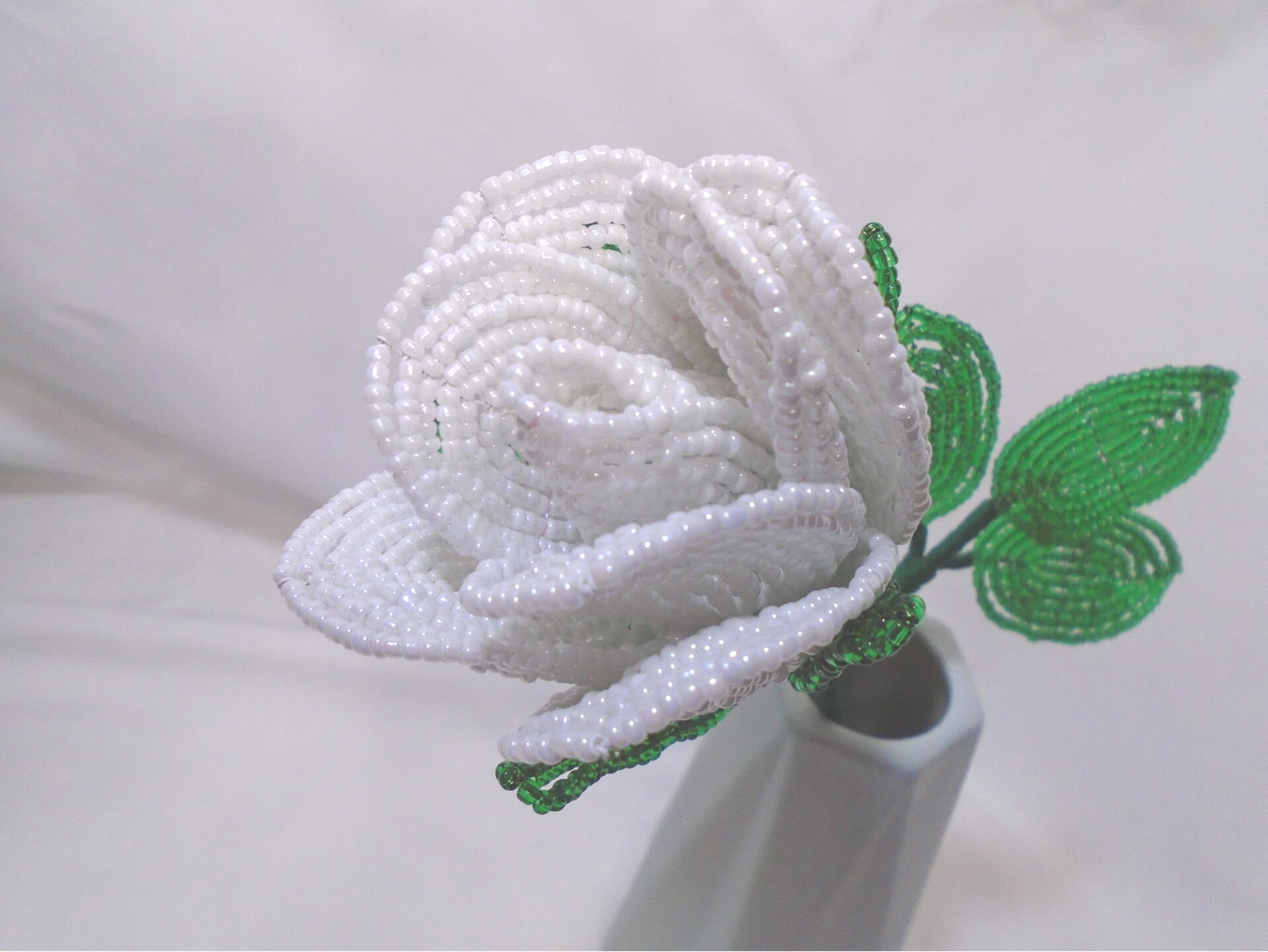 White single stem rose