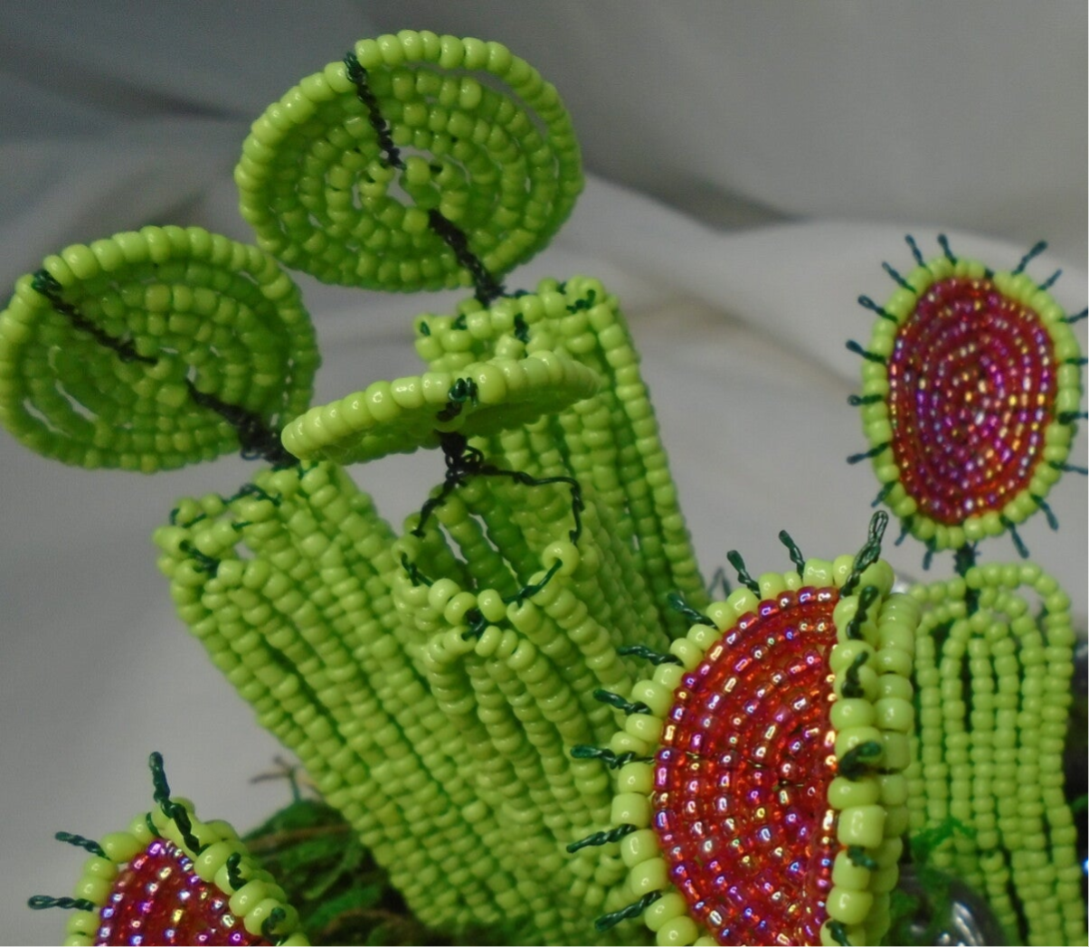 Pitcher plant pattern