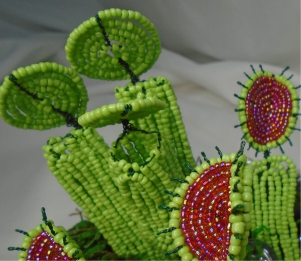 Pitcher plant pattern