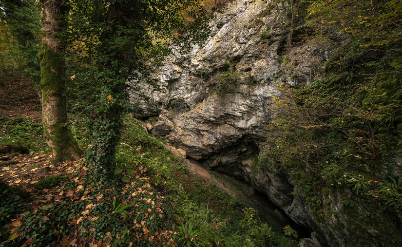 2024-10-22-2024-10-22-_mg_5389-hdr-bewerkt-bewerkt-export-standard-wy3quf.jpg