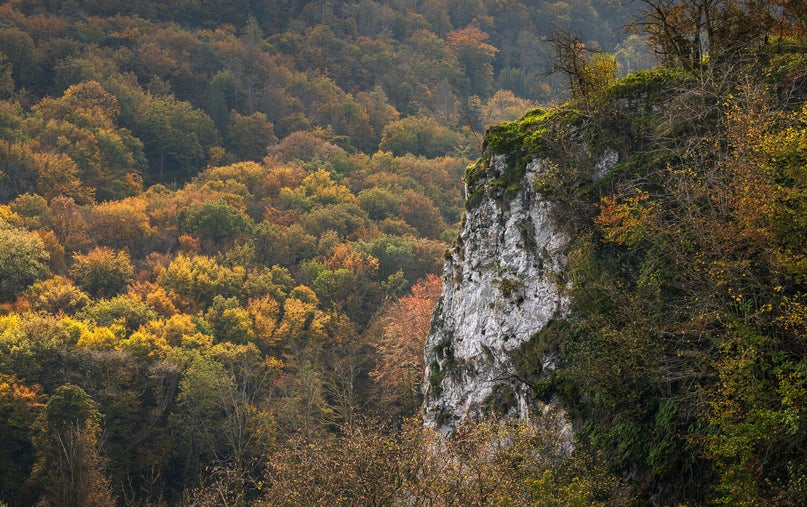 2024-10-22-2024-10-22-_mg_5464-hdr-bewerkt-bewerkt-export-standard-4fpvj3.jpg