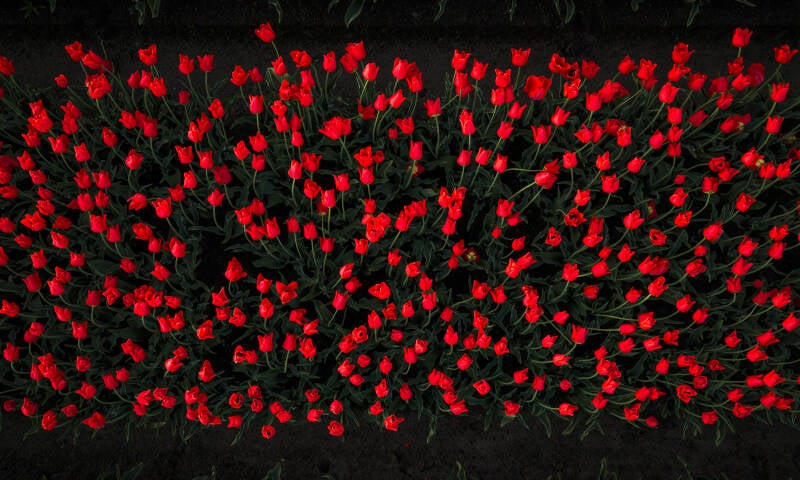 2026-04-26-dji_20260426062935_0169_d-pano-bewerkt-export-standard.jpg
