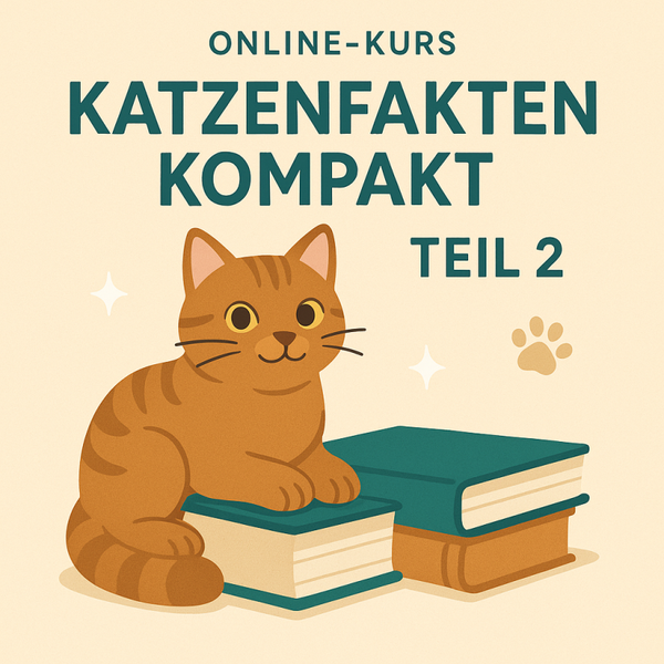 Katzenwissen vertiefen – Onlinekurs für Fortgeschrittene (Teil 2)